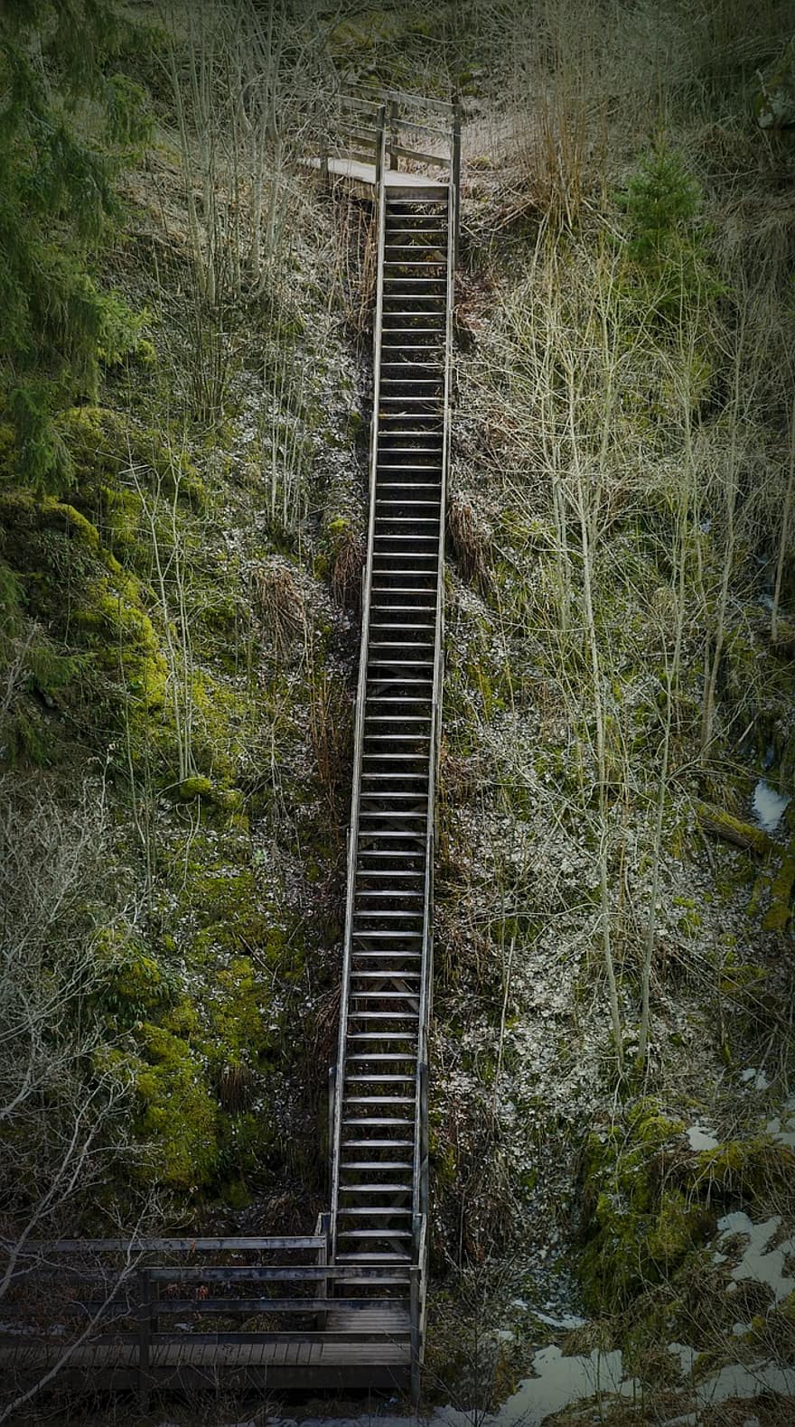 cầu thang bộ, cầu thang, rừng, cây, sườn dốc, gỗ, lối đi bộ, các bước, cảnh nông thôn, màu xanh lục, phong cảnh