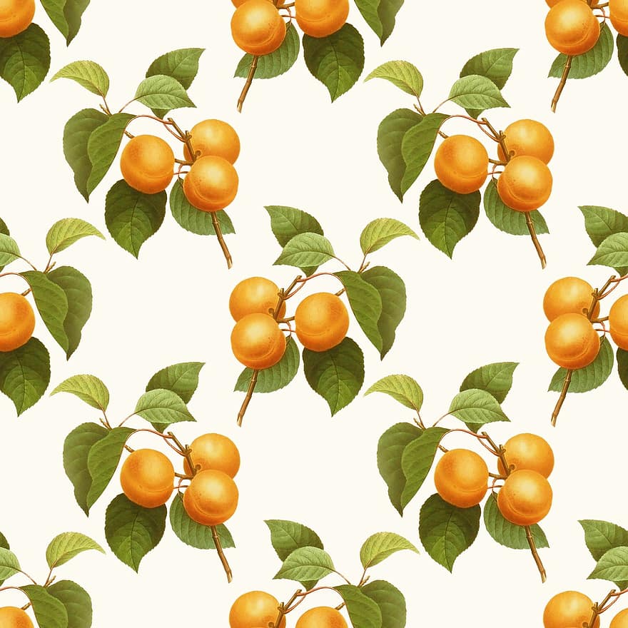 Apricot, Fruit, Vintage, Art, Wallpaper, Background, Backdrop, Scrapbook