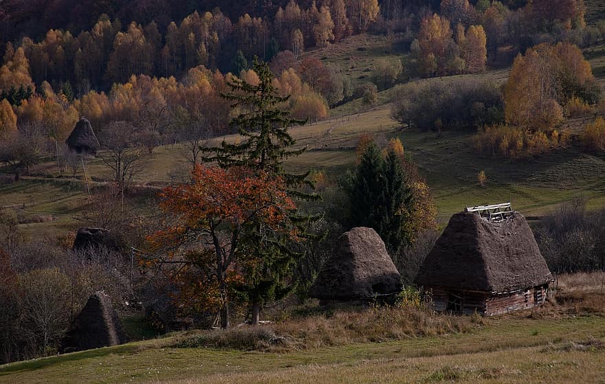Desa, pedesaan, musim gugur, rumah tradisional, rumah-rumah tua, pohon, musim, jatuh, di luar rumah, pemandangan pedesaan, pemandangan
