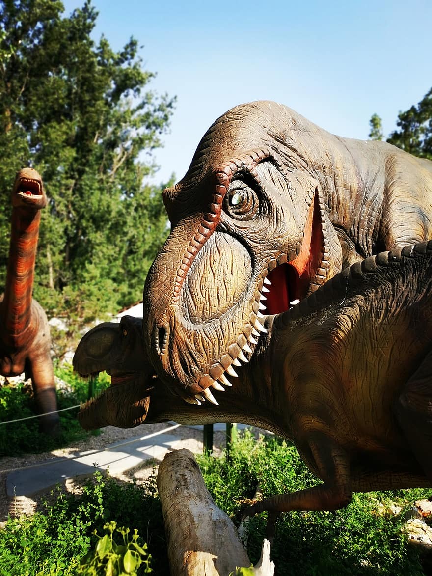 공룡, 티라노 사우루스, 티라노사우루스, 디노, 티 - 렉스, 렉스, 비열한, 동물