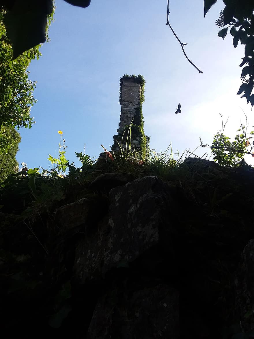 cây cột, tàn tích, Lâu đài, mọc um tùm, rừng, màu xanh lục, cây, ngành kiến ​​trúc, mùa hè, tàn tích cũ, lịch sử