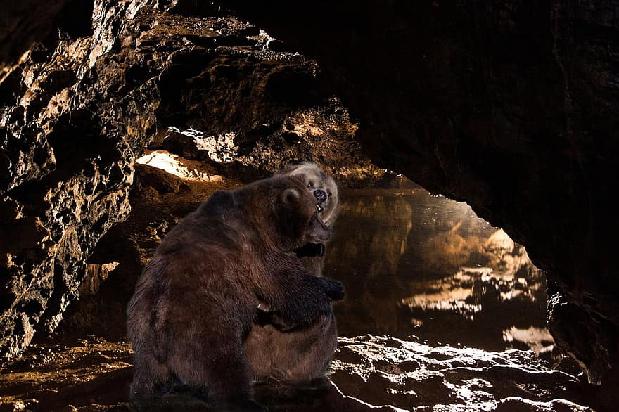 पृष्ठभूमि, गुफा, अंधेरा, भालू, कपोल कल्पित, जानवरों, डिजिटल कला