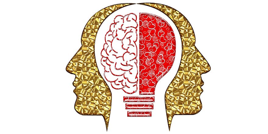 uman, creier, minte, om, psihologie, anatomie, oameni, cunoştinţe, mental, biologie, ştiinţă