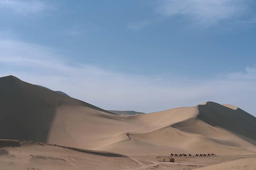 aavikko, hiekka, kamelit, matka, dyynit, asuntovaunu, kamelin juna, matkustaa, maisema, luonto, hiekkadyyni