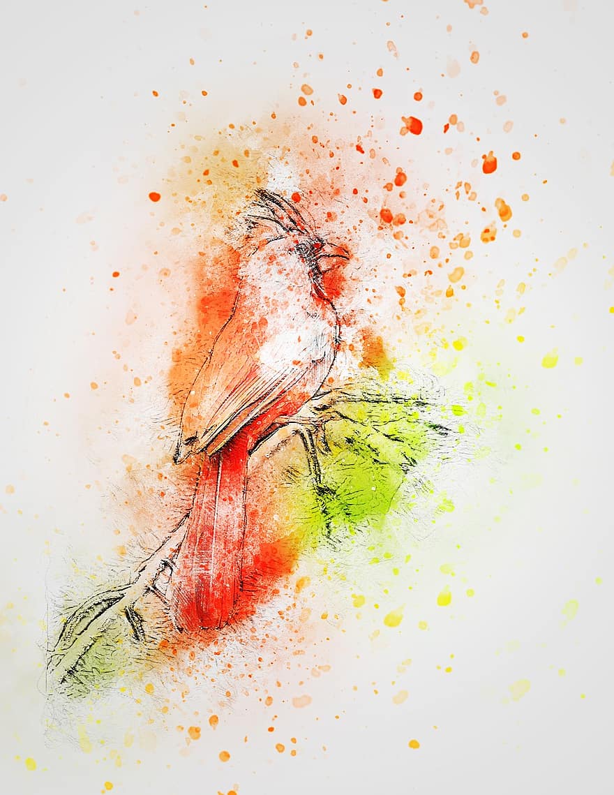 Bird, Red Cardinal, Cute, Art, Abstract, Vintage, Watercolor, Animal, Spring, Nature, Artistic