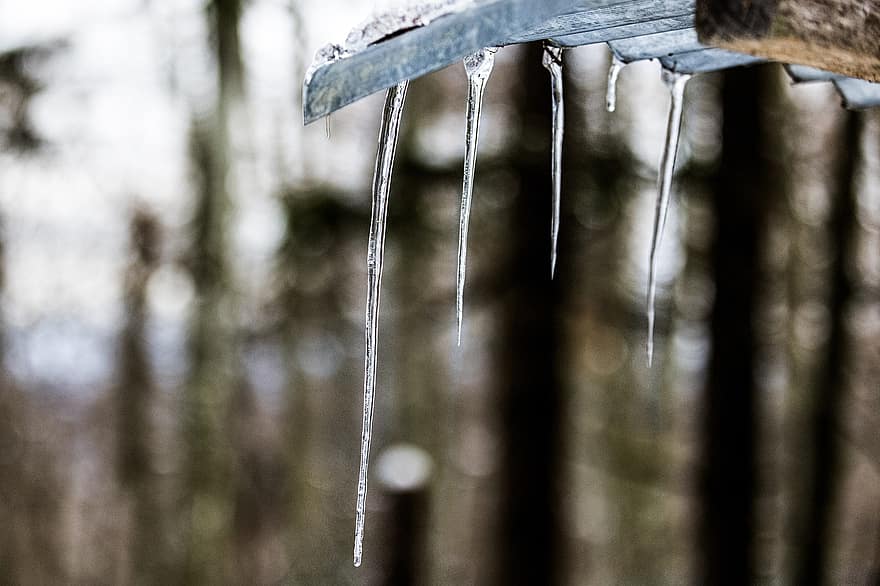 Icicles, Frozen, Winter, Ice, Cold, Nature, drop, close-up, wet, backgrounds, water