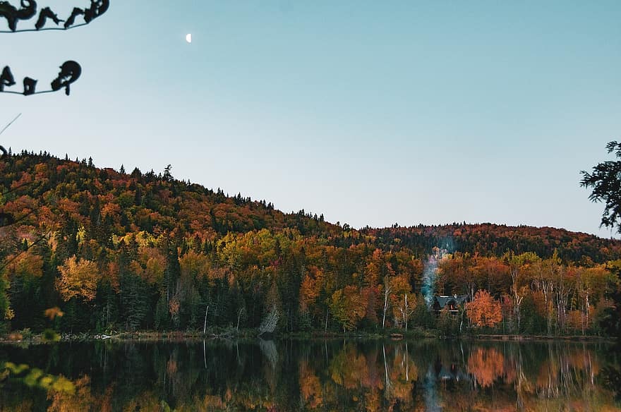 небо, природи, озеро, захід сонця, блакитний, дерево, Канада, горизонт