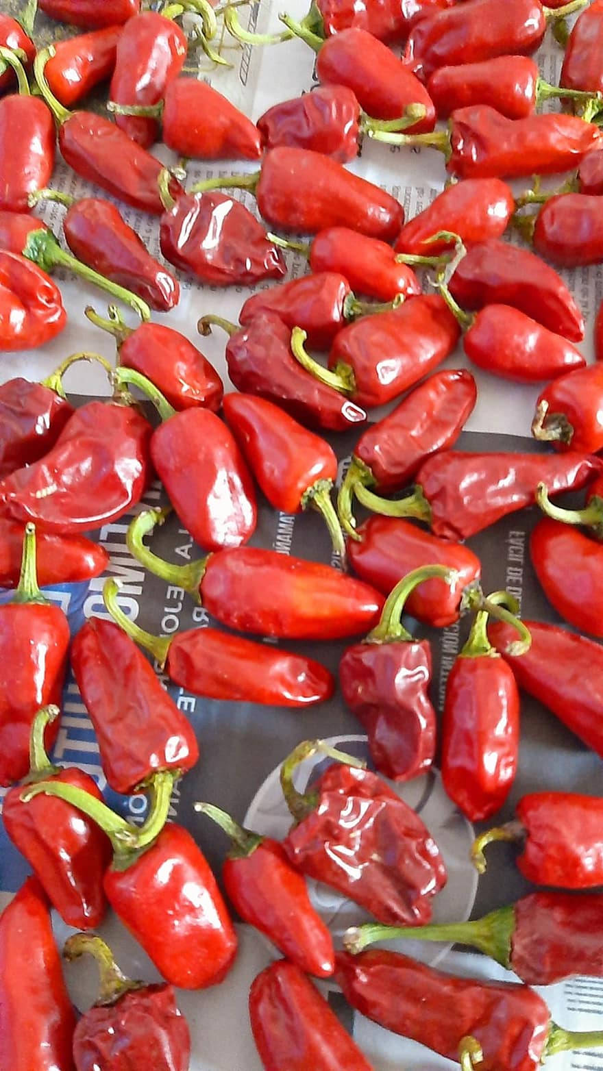 Chilies, Peppers, Vegetables, Food, Red Peppers, Hot, Spicy, Organic, vegetable, freshness, spice