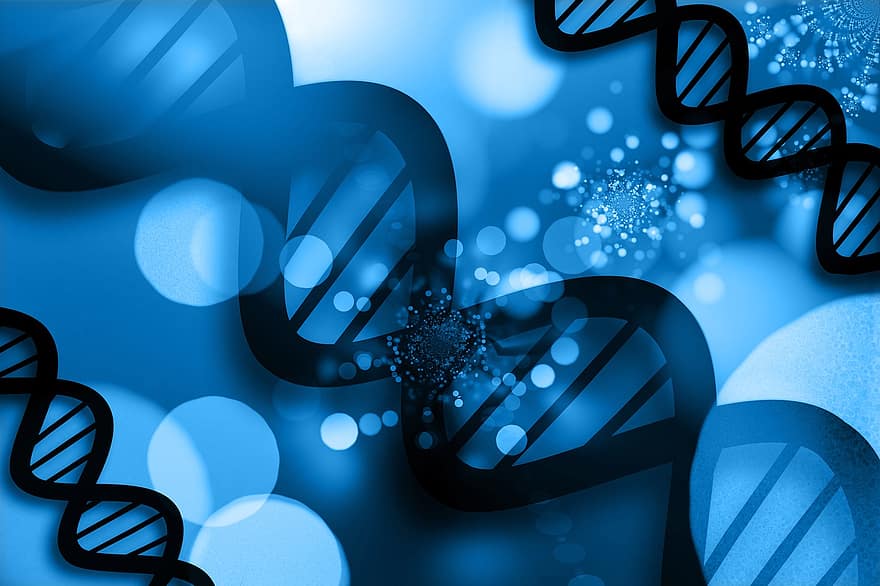 ADN-ul, analiză, cercetare, material genetic, spirală, biologie, chimie, medical, ştiinţă, genetic, descoperire