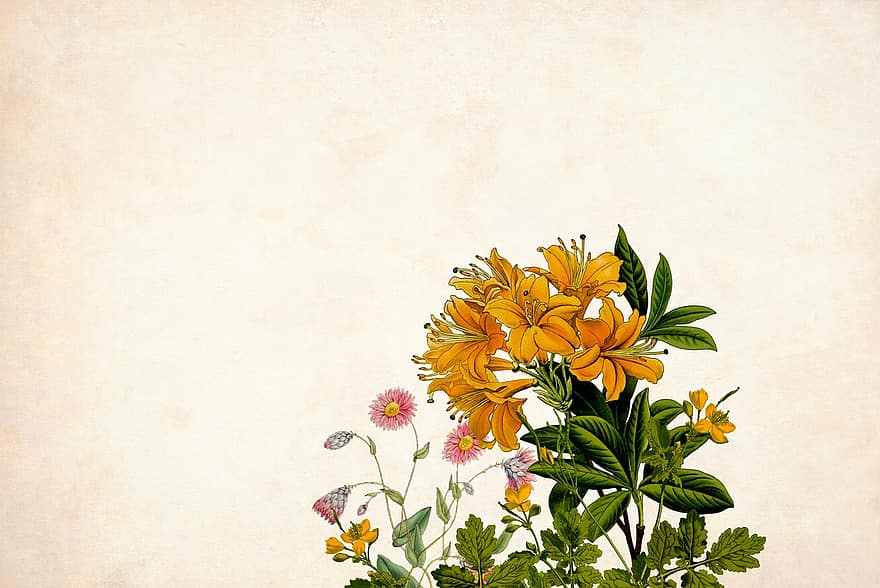 flor, floral, fundo, fronteira, quadro de jardim, vintage, cartão, arte, Casamento, desenhar, artesanal