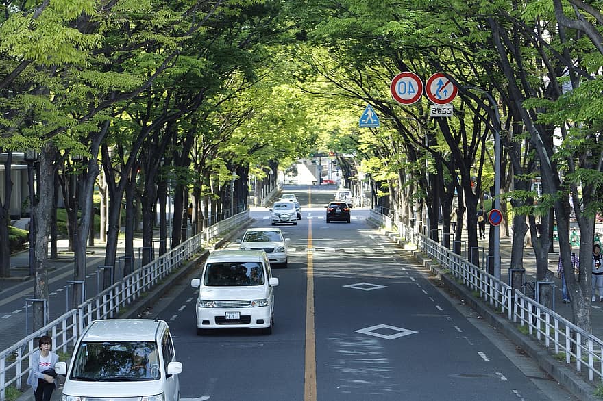 träd båge, japan, väg, motorväg