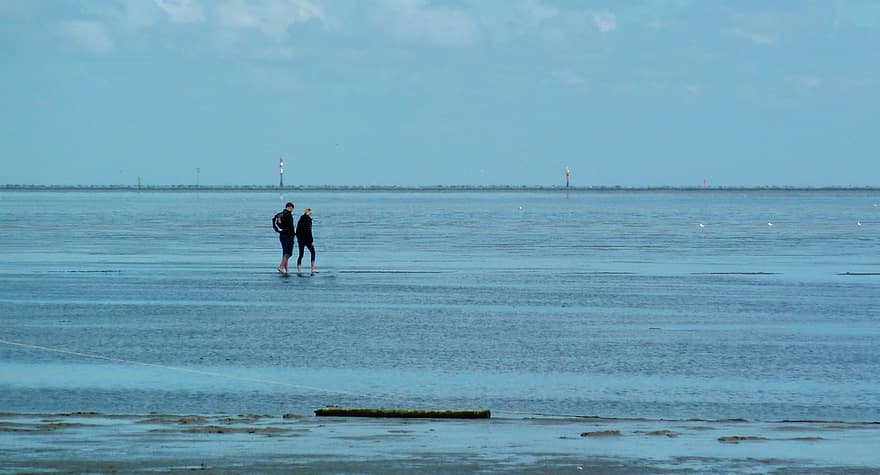 Wadden Sea, बीच, कोस्ट, समुद्र किनारे चल रहे हैं, कम ज्वार, प्रकृति