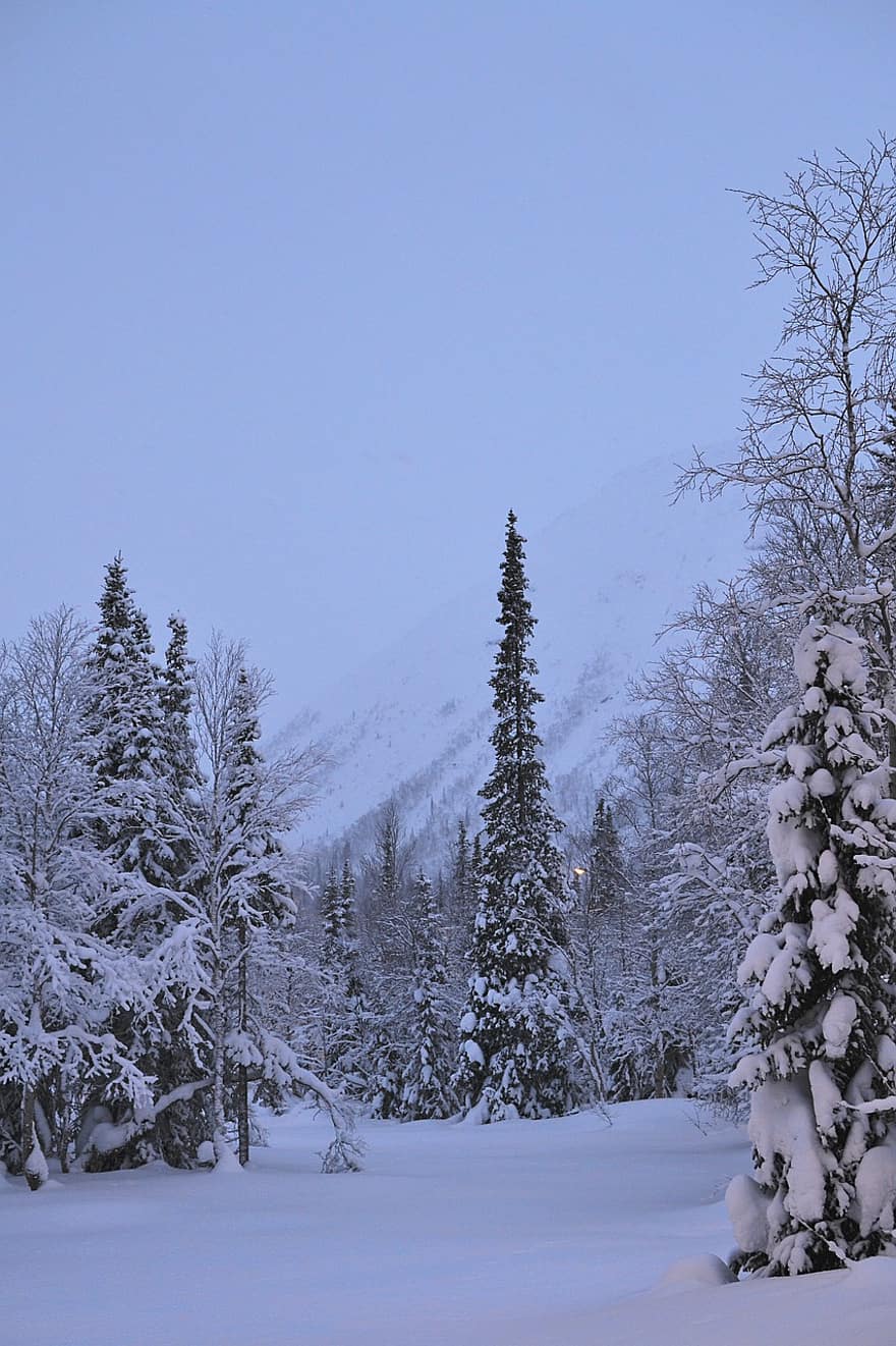 зима, планини, khibiny, сняг, снежна преспа, скреж, лед, студ, дървета, пейзаж, природа
