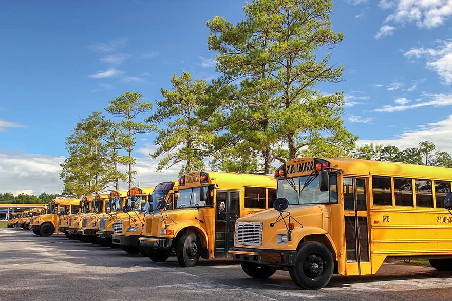 autobuses escolares, vehículos, Estacionamiento, Autobuses amarillos, autobuses, transporte, Estados Unidos, autobús, amarillo, autobús escolar, modo de transporte