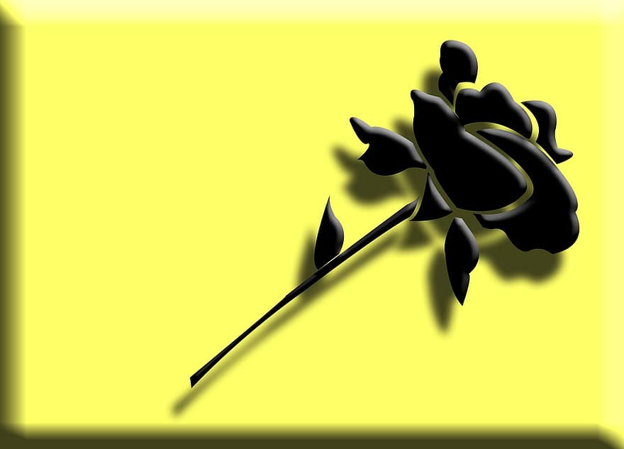 Rosa, negro, flor, 3d, floración