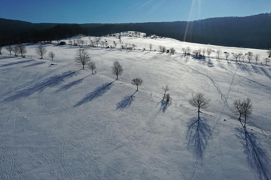Upper Lusatia, Snow, Winter, Nature, Landscape, mountain, season, blue, forest, tree, sport
