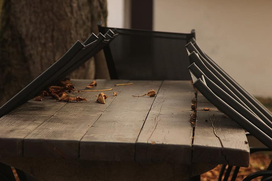 stůl, židle, listy, temný, mokré, podzim