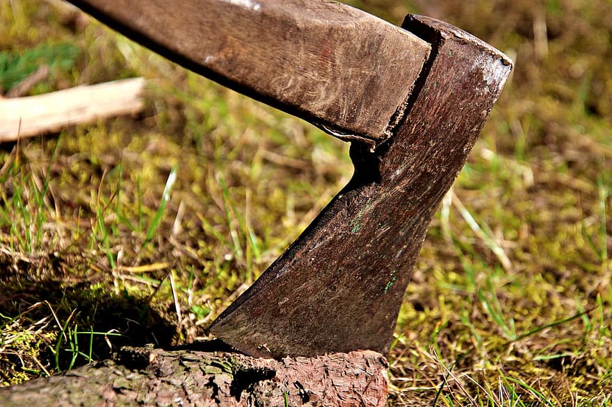 斧、薪割り、ログ、木材、ツール、装置、森林、作業工具、刃、薪、ハンドル