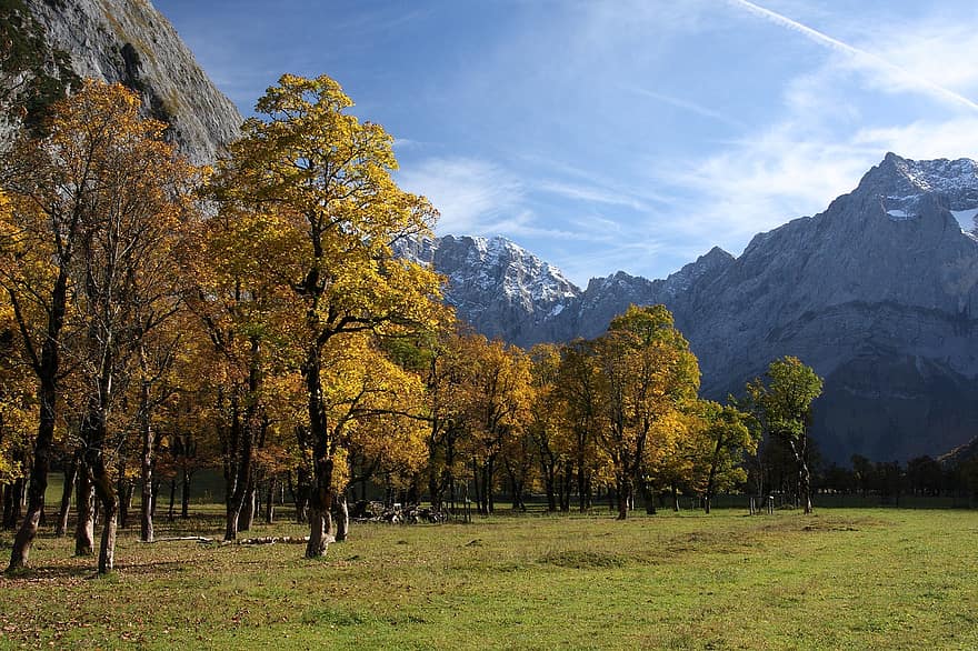 munţi, copaci, copaci de artar, frunze, toamna frunze, toamnă, alpin, Austria, tyrol, mare ahornboden, Karwendel