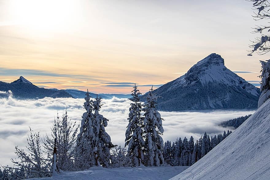 gunung, alam, main ski, musim dingin, Neige, minuman keras manis, matahari terbenam, pegunungan Alpen, salju, hutan, pemandangan