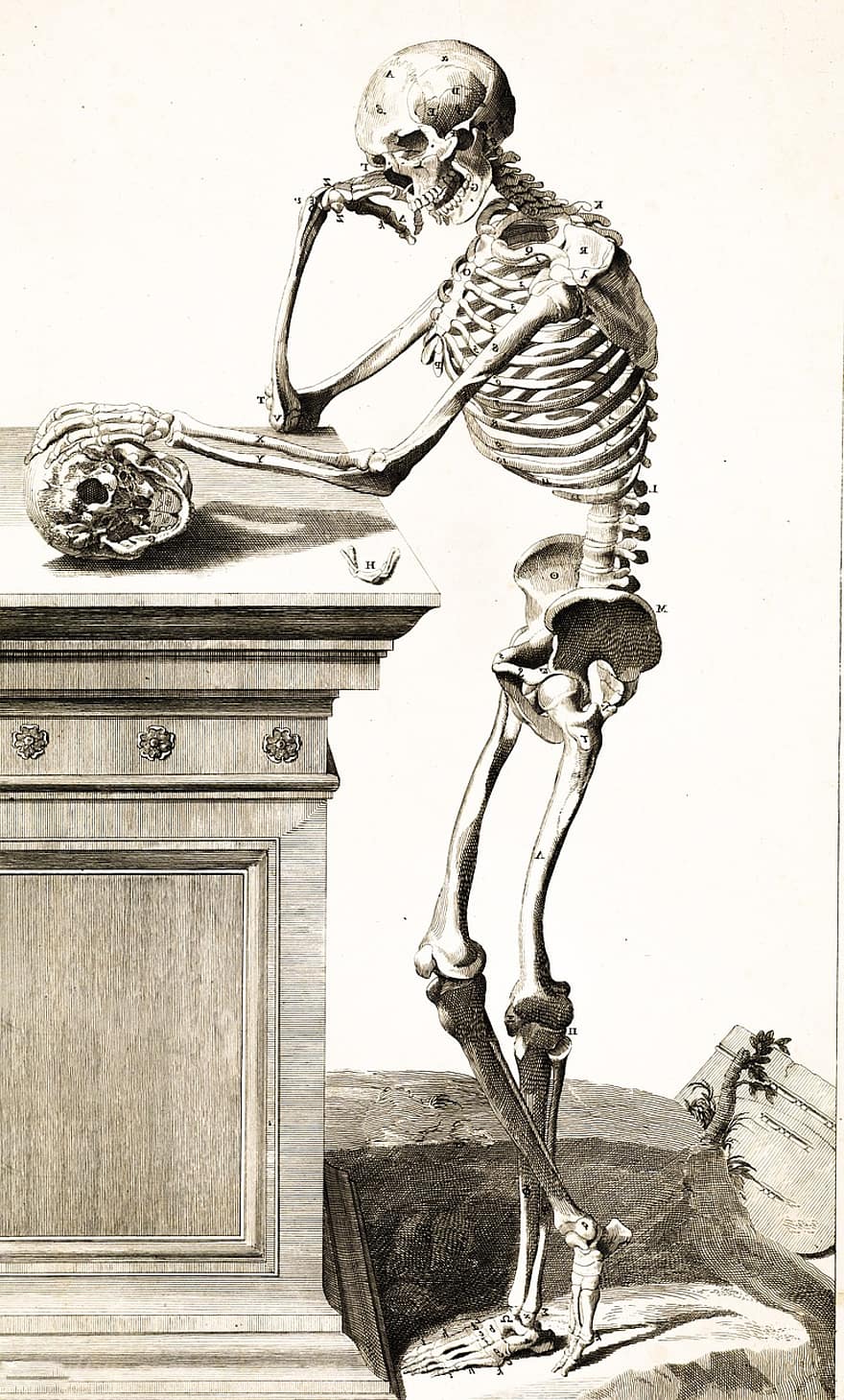 esqueleto, crânio, ossos, pensando, de pé, casual, dia das Bruxas, frustração