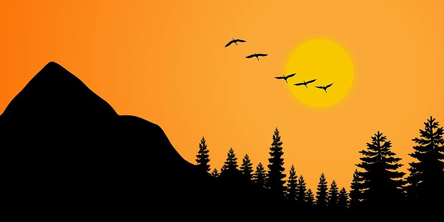 bergen, solnedgång, träd, fåglar