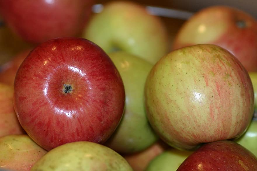 과일, 사과, 건강한, 식품, 신선한, 본질적인, 먹기, 영양물 섭취, 비타민, 신선한 과일, 농업