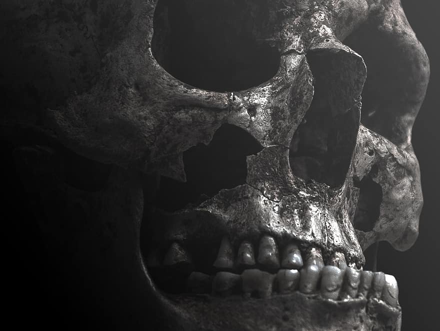 crâne, archéologie, horreur, sinistre, effrayant, foncé, OS, anatomie, squelette, Halloween, mort
