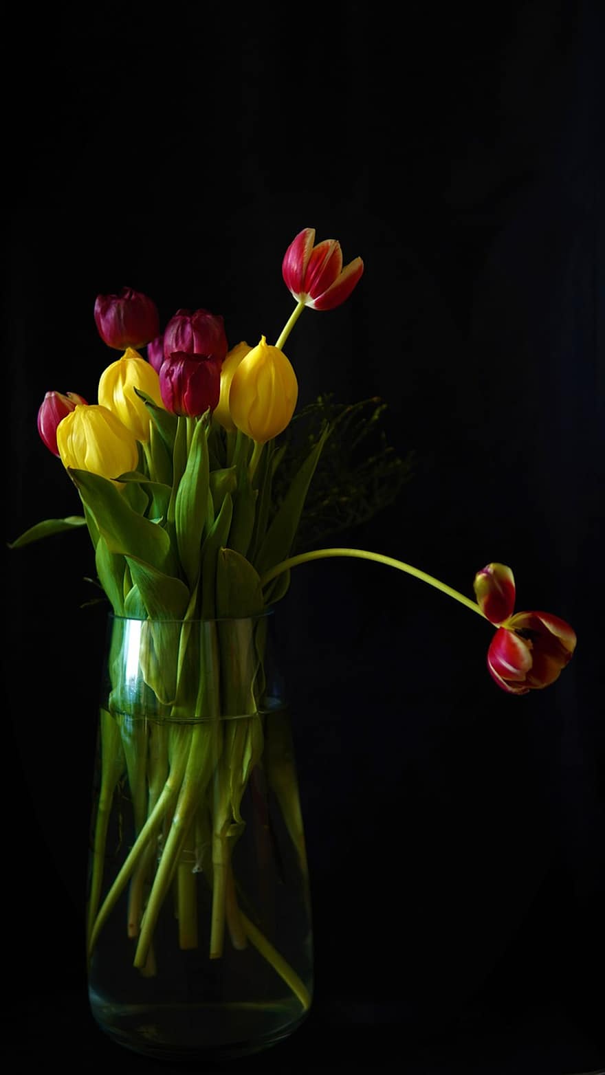 тюльпани, квіти, ваза, Ваза для квітів, букет тюльпанів, живі квіти, цвітіння, весна, букет, чорний фон, весняні квіти