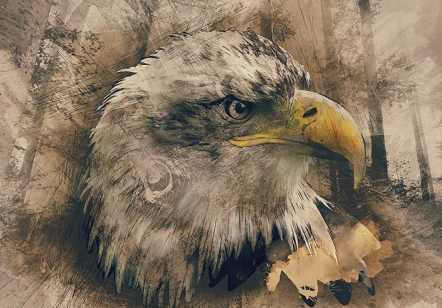 Aigle chauve, dessiné à la main, art informatique, animal, faune, oiseau, prédateur, esquisser, fierté, proie, tête