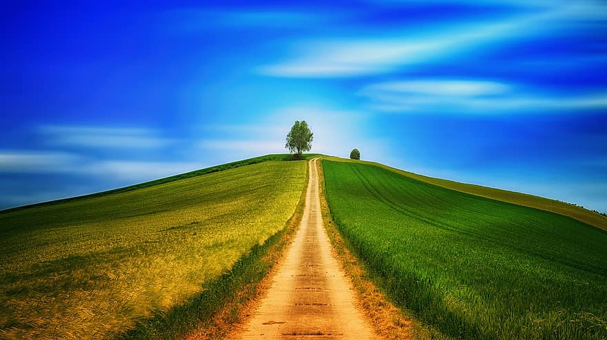 weg, heuvel, velden, boom, rijbaan, eenzaam, hemel, landschap, humeur, blauw, heuvelachtig