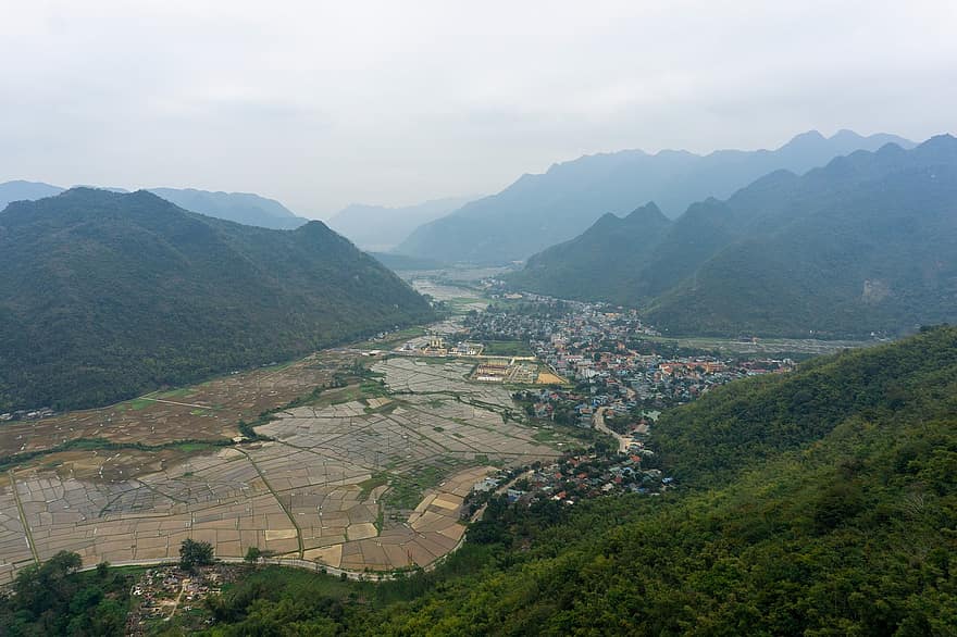 Mountain, Valley, Rice Field, Mai Chau, Shiver, rural scene, landscape, green color, farm, forest, summer
