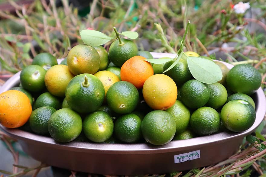Lemons, Fruit, Citrus, Fresh, Ripe, Sour, Tree, Agriculture, Plant, Food, Plantation