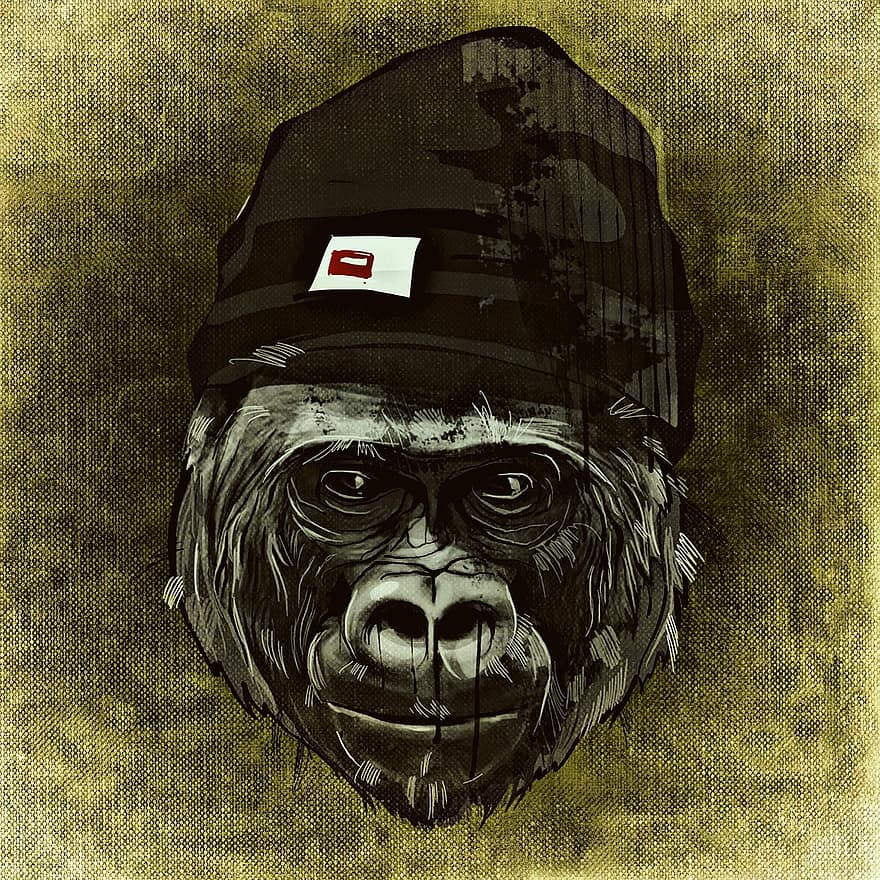 мавпа, круто, реферат, смішно, шапка, весело