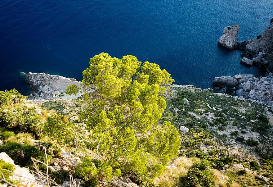 природа, крайбрежие, стръмна скала, речен бряг, море, храст, Майорка, Средиземно море, вода, лято, почивки