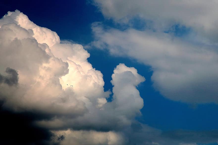 ουρανός, σύννεφα, μπλε, σύννεφο, καιρός, ημέρα, υπόβαθρα, καλοκαίρι, στρατόσφαιρα, cumulus cloud, νεφελώδης