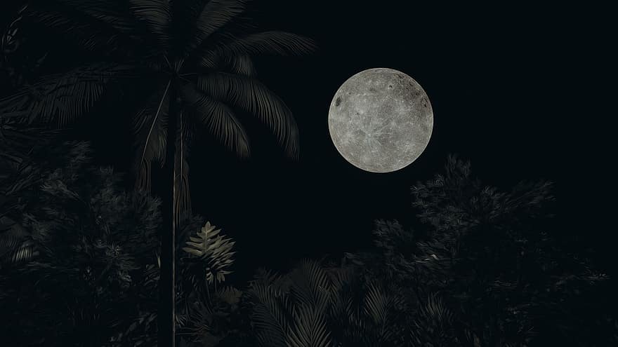 Luna, Luna llena, cielo nocturno, cielo, papel pintado, fantasía