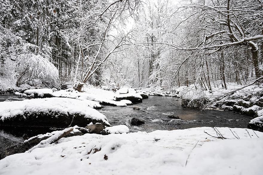 joki, lumi, Puut, paljaat puut, huurre, snowscape, winterscape, luminen, huurteinen, talvinen, talven taikuutta