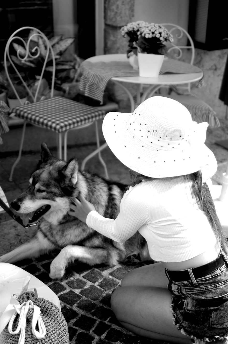 여자, 시베리안 허스키, 개를 쓰다듬다, 개, 동물, 착한 애, 애완 동물, 여자들, 검정색과 흰색, 한 사람, 좌석