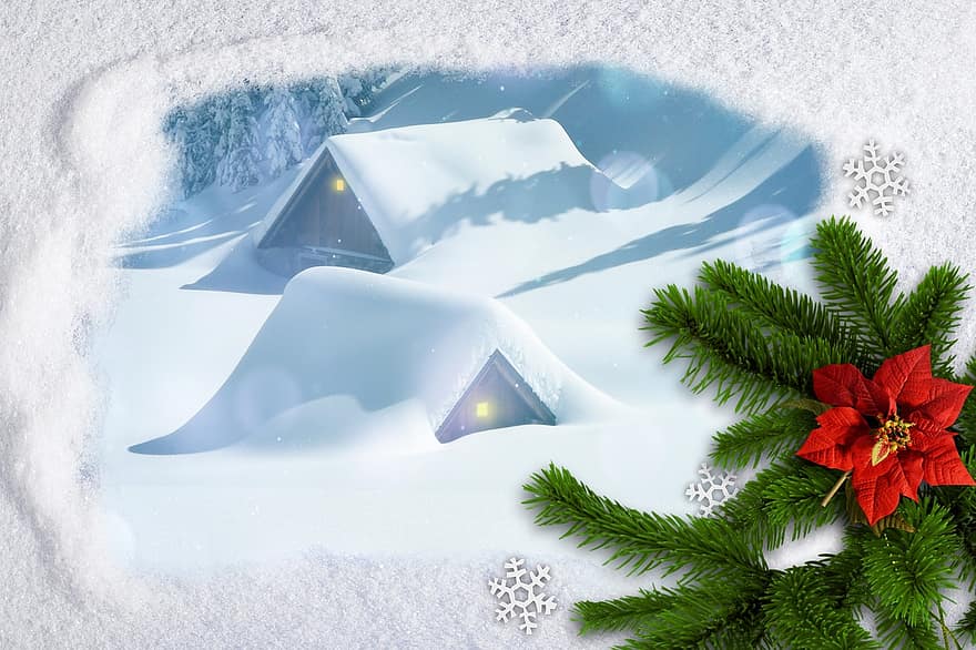 Natal, neve, Tannenzweig, poinsétia, imagem de fundo, inverno, Nevado, flocos de neve, invernal, advento, fundo