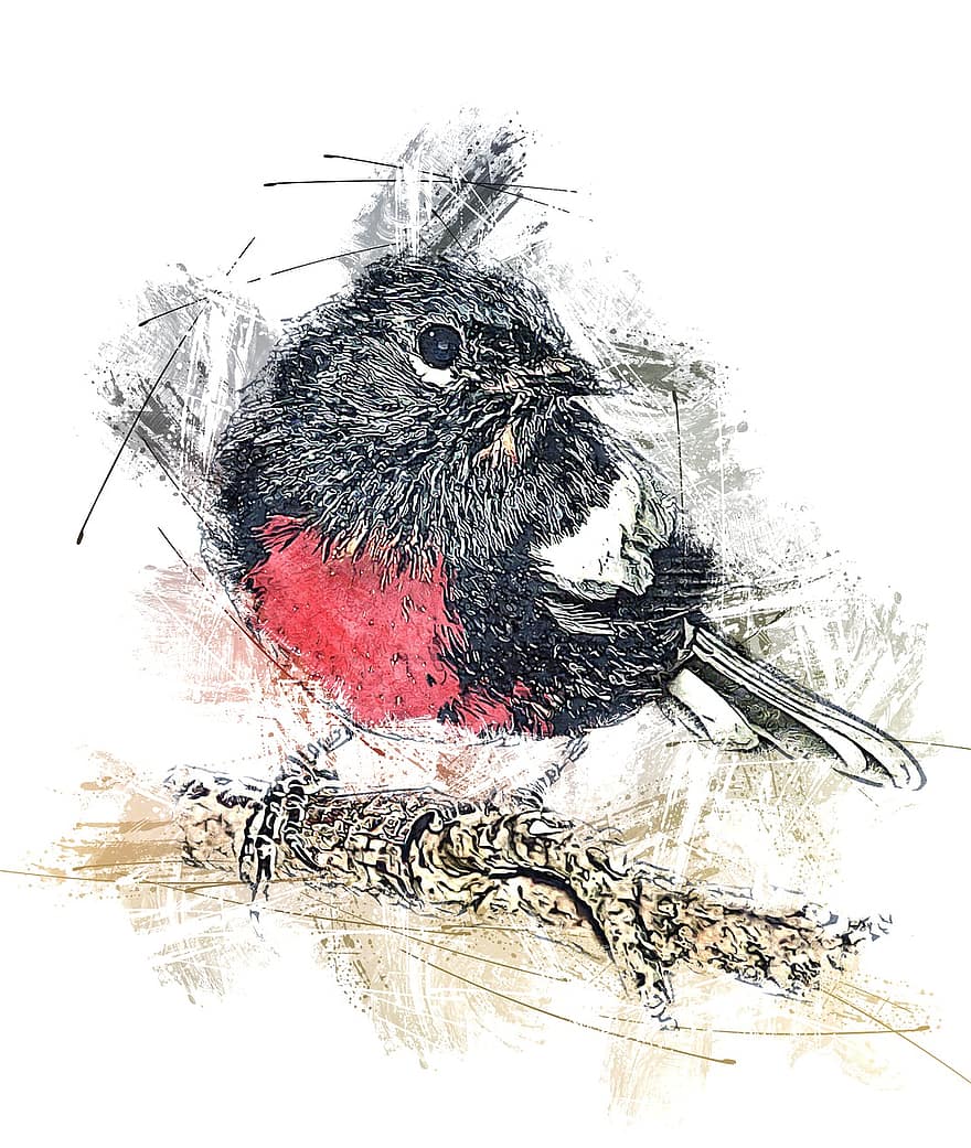 pássaro, robin redbreast, robin, pássaro empoleirado, desenhando, animal
