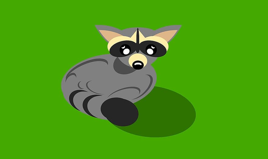 Raccoon, Animals, Illustration, Vector