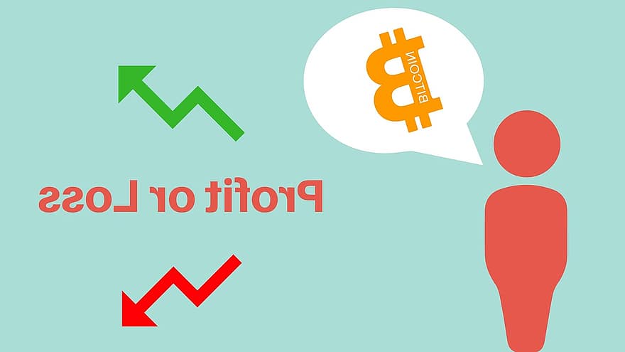 bitcoin, vinst, förlust, kryptovaluta