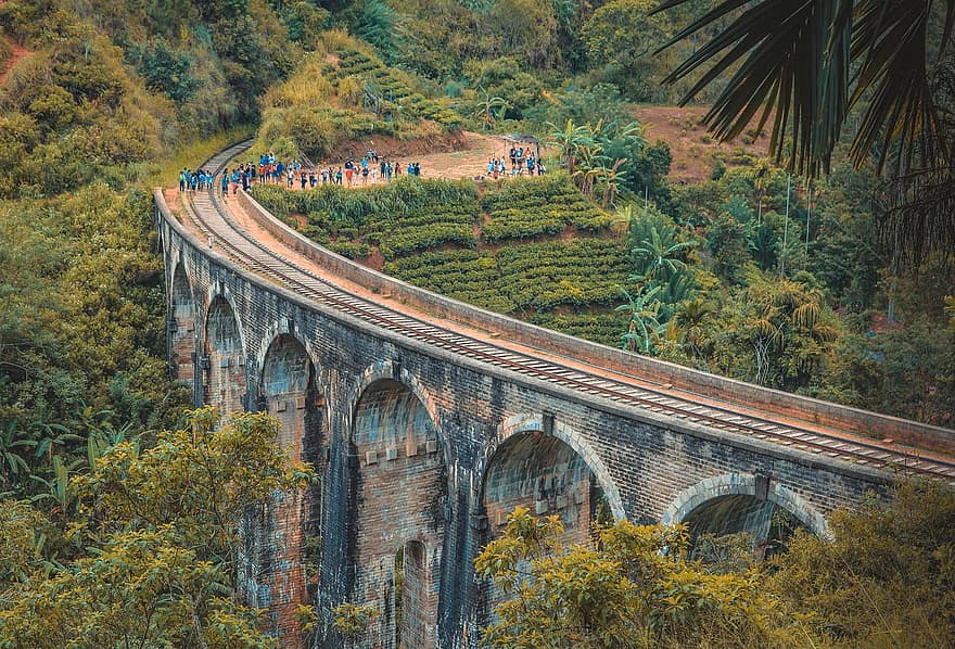 puente de nueve arcos, ferrocarril, puente, arcos, arquitectura, estructura, plantación de té, granja de té, gente, arboles, vegetación