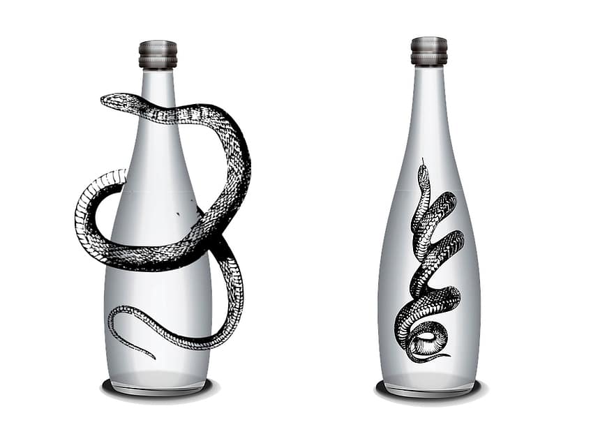 botella, serpiente, alcohol, pesadilla