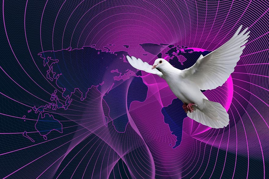 Dove, Peace, Soul, dom, Spirituality, flying, illustration, backgrounds, vector, abstract, seagull