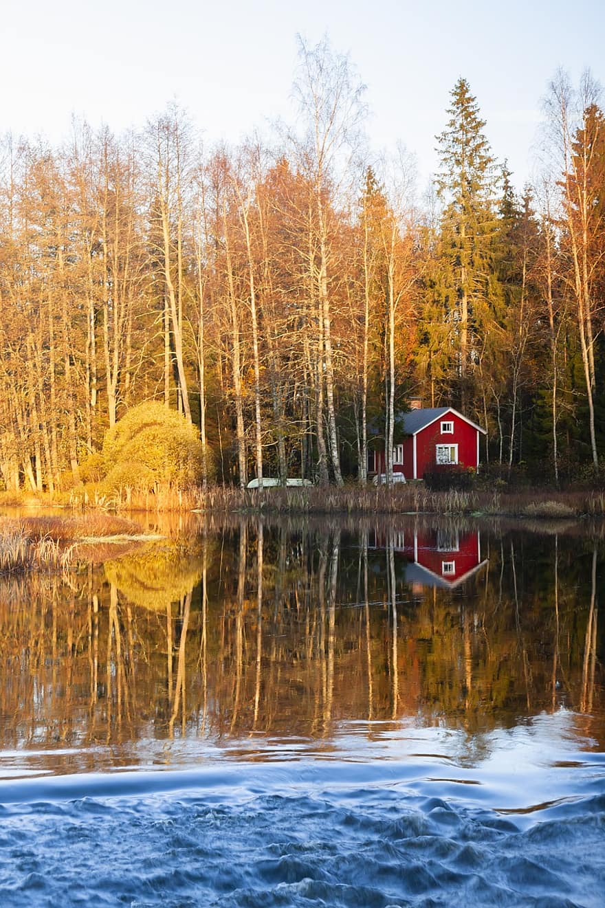 sauna, Cabaña Sauna, río, cabaña, rápidos, otoño, paisaje, agua, bosque, árbol, reflexión