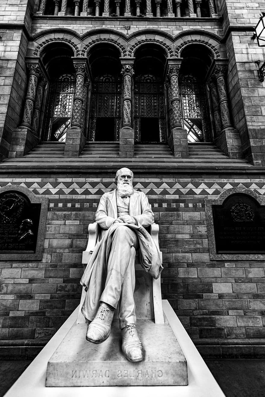กรุงลอนดอน, อังกฤษ, พิพิธภัณฑ์ประวัติศาสตร์ธรรมชาติ, วิทยาศาสตร์, วัฒนธรรม, ที่นั่ง, นั่ง, นักวิทยาศาสตร์, วิวัฒนาการ, Charles Darwin, ความรู้