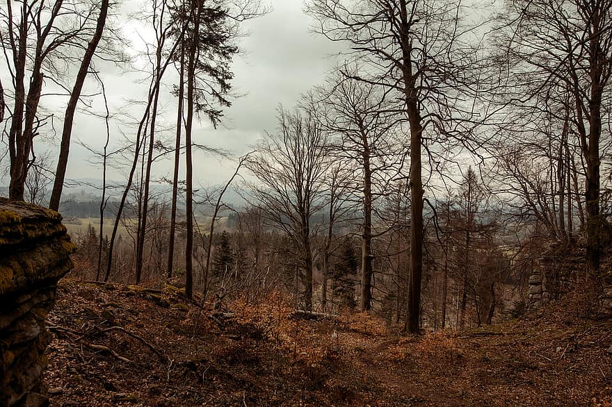 Bäume, Wald, Wälder, Tschechische Republik, Natur, zerstört, Hügel, Landschaft, Steine, Wolken, am Boden zerstört
