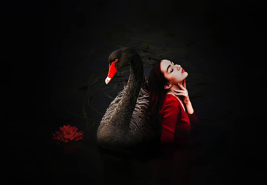 Woman, Black Swan, Swan, Bird, Animal, Creature, Portrait, Girl